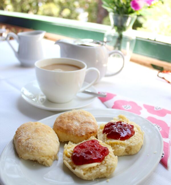 Afternoon tea served with a combination of scones, clotted cream, jam, and butter.